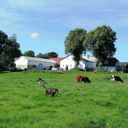 Pension Slotsgaarden jels Buitenkant foto